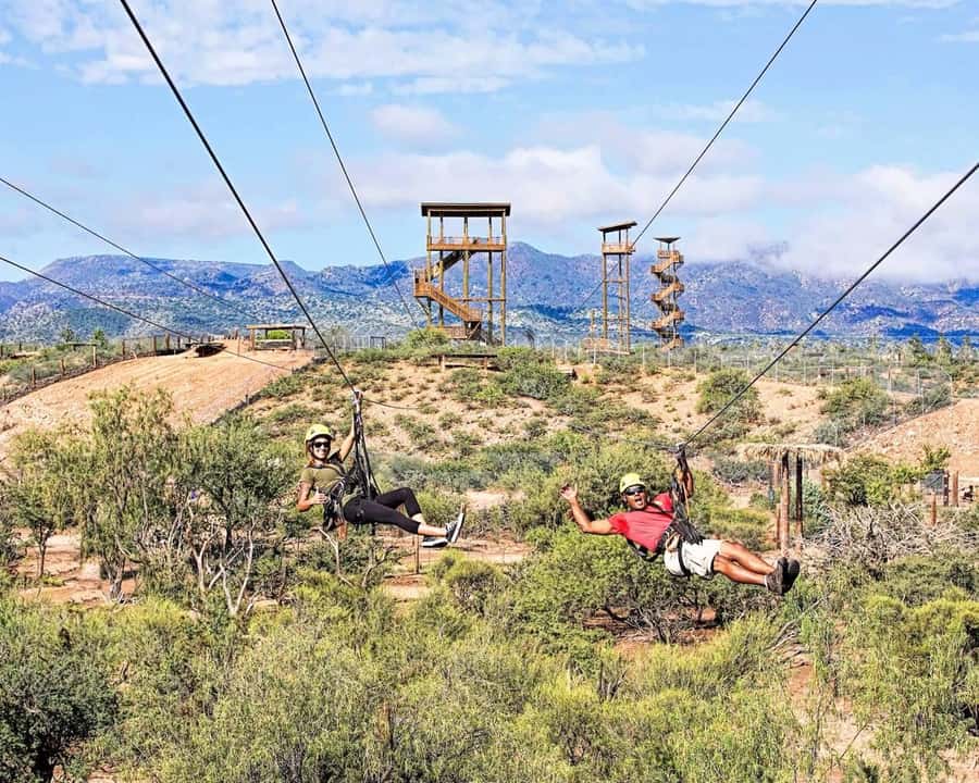 Camp Verde: Predator Zip Lines Guided Tour - The first four lines: wildlife with a view