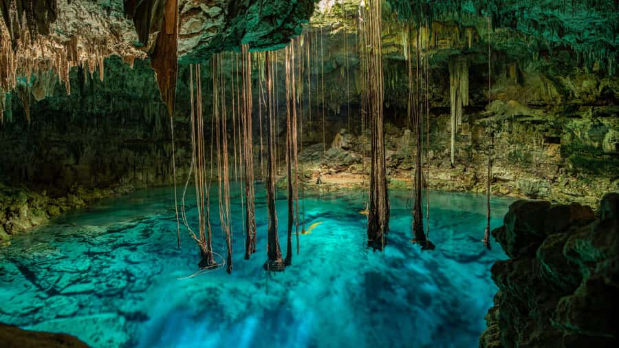 Cancun: Tropical ATV Tour with zip lines and swimming in Cenote - ATV trails through tropical greenery