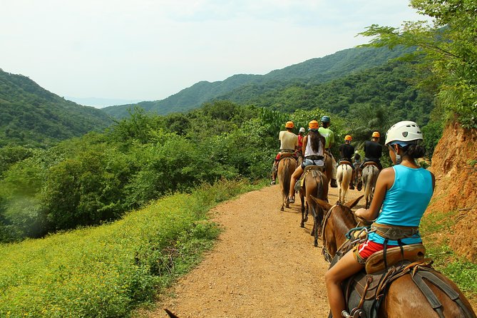 Canopy River Zipline Tour and Mule Ride - What the $120 price really buys you