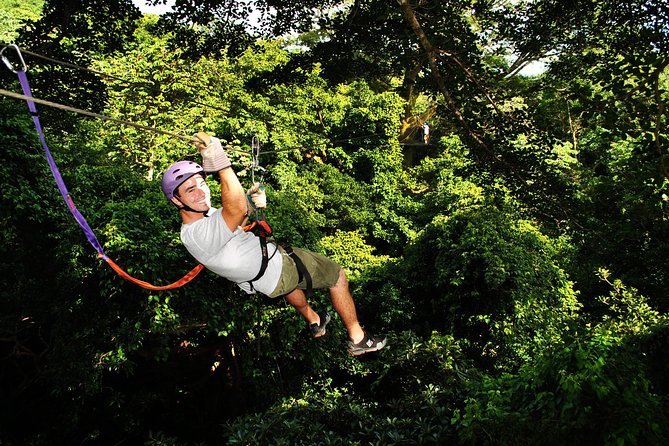 Canopy Tour In Tamarindo Beach - Wildlife is possible, but timing matters