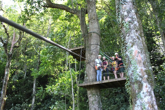Canopy Tour with Superman and Tarzan Swing in La Fortuna - From San Ramón into the cloud forest canopy