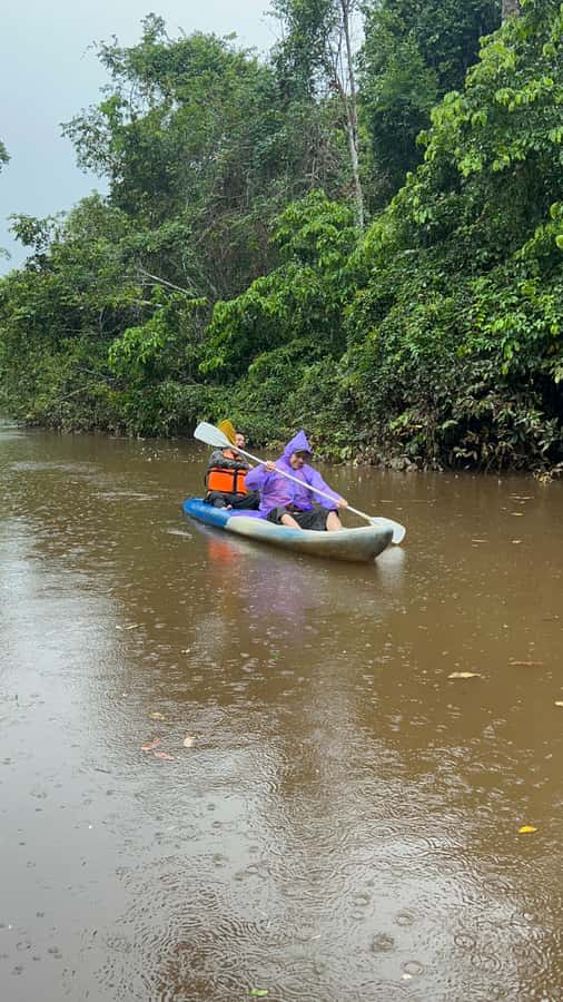 Canopy Tower, Zipline, Kayak, and Monkey Island … - Key points at a glance