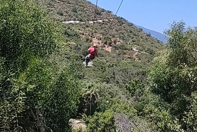 Canopy Ziplines Tour in Las Cañadas Private Tour - Why the private format changes the day