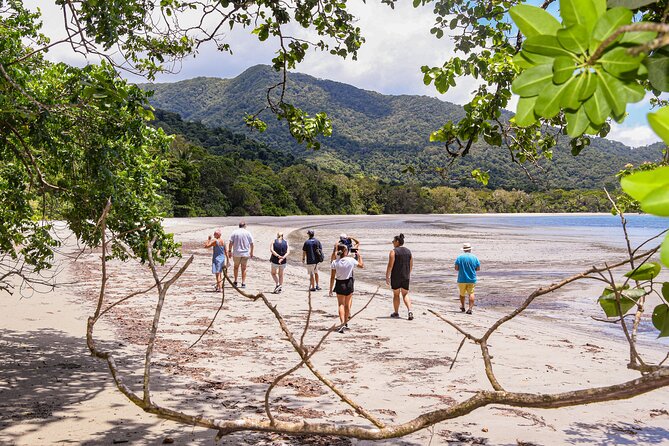 Cape Tribulation & Ziplining: Ultimate Daintree - Cape Tribulation Beach, where forest meets reef