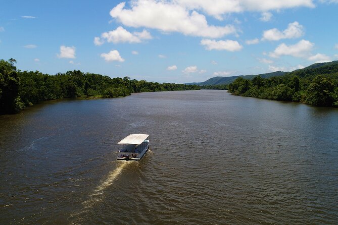 Cape Tribulation & Ziplining: Ultimate Daintree - Two hours above the forest at Treetops Cape Tribulation