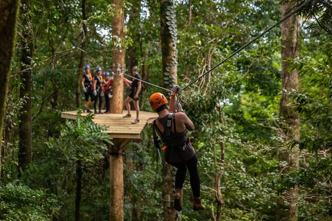 Cape Tribulation & Ziplining: Ultimate Daintree - One hour on the crocodile and wildlife cruise