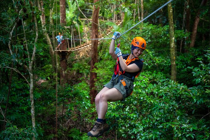 Cape Tribulation & Ziplining: Ultimate Daintree - The morning drive into the Daintree