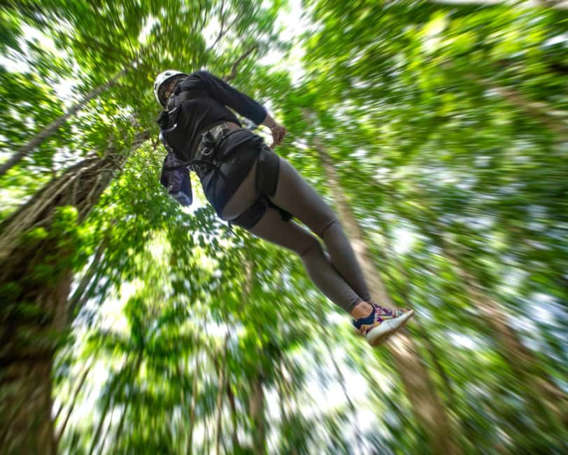 Castries, St. Lucia - Adrenaline Zipline - Eight flights through the Saint Lucian canopy