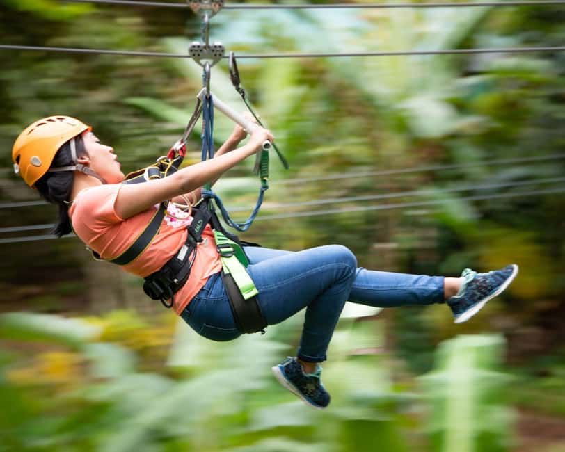 Castries, St. Lucia - Adrenaline Zipline - Forest paths between the cables