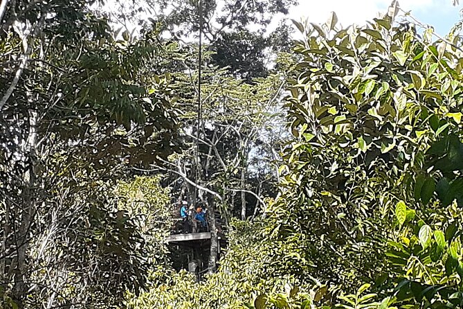 Cave Kayaking or tubing, Ziplines and Altun Ha V.i.V. - Key points to know before you book