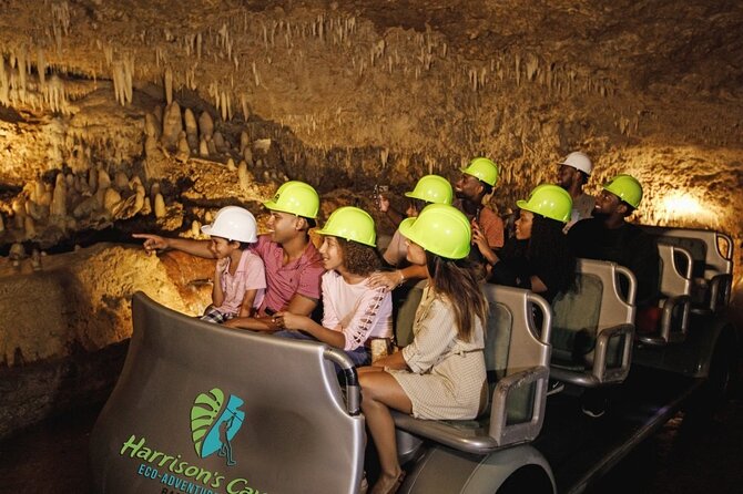 Cave & Monkey Zipline Experience at Harrison's Cave by Chukka - Key points to know before you go