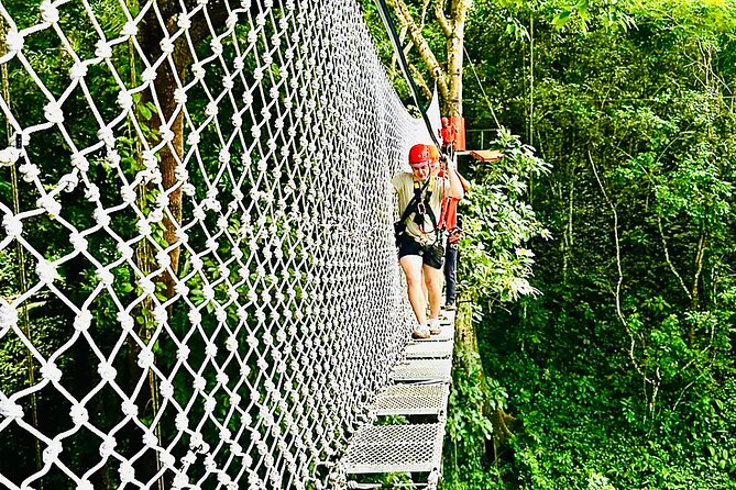 Chiang Mai 3 in 1 Zipline, Elephants and Sticky Waterfall - Why this three-stop plan works
