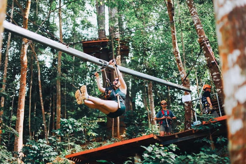 Chiang Mai: Jungle Flight Zip Line Roller Coaster - More than 30 lines through the treetops