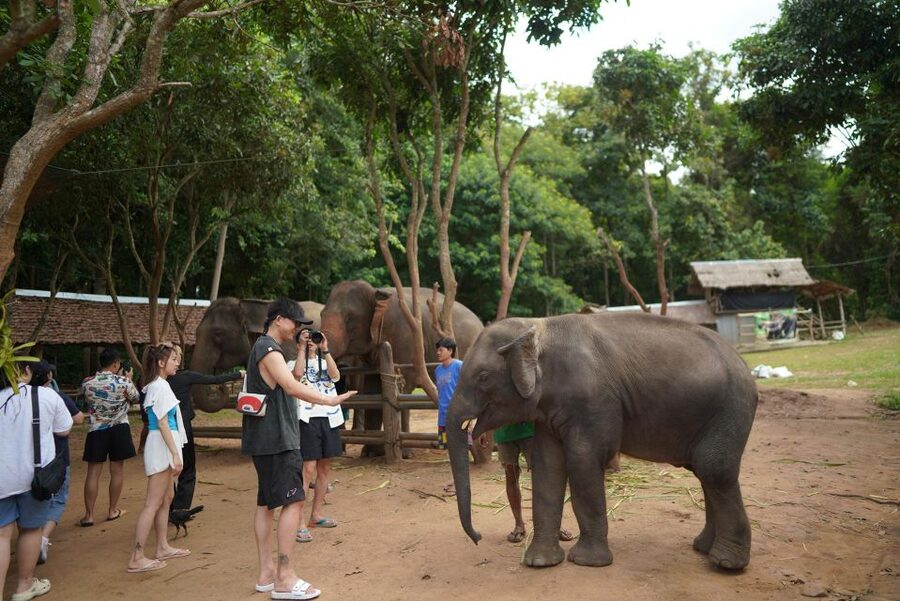 Chiang Mai: National Elephant Care, Rafting, & Ziplines Trip - Leaving Chiang Mai for Mae Wang