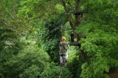 National Elephant Care, Rafting, & Ziplines Trip
