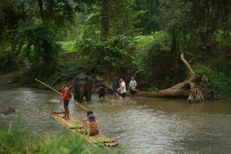 Chiang Mai: National Elephant Care, Rafting, & Ziplines Trip - Should you book it?