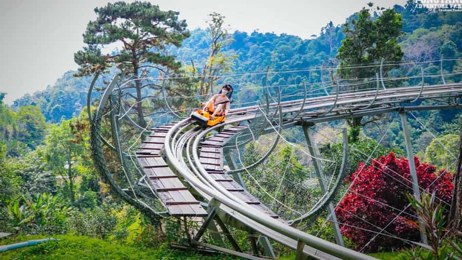 Chiang Mai: Pongyang Jungle Coaster and Zip Line Tour - Key points at a glance