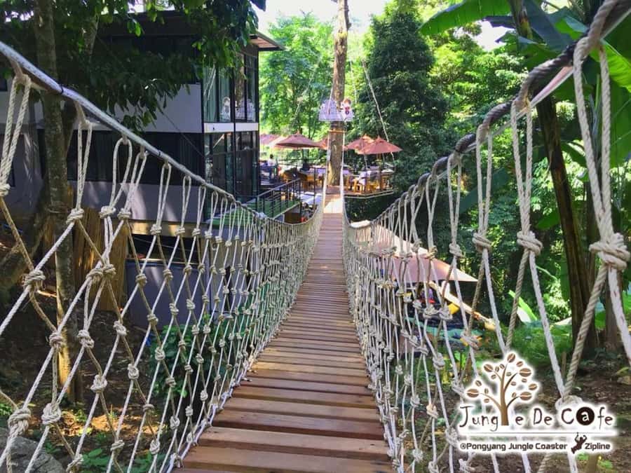 Chiang Mai: Pongyang Jungle Coaster and Zip Line Tour - A fast start in Chiang Mai’s jungle