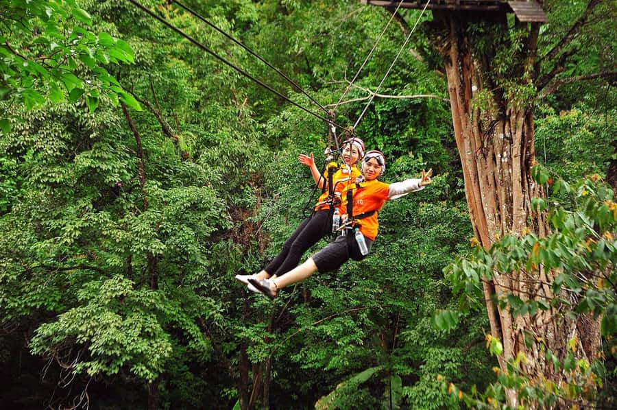 Chiang Mai : Pongyang Jungle Coaster Zipline - Zipline and other rides depend on the package