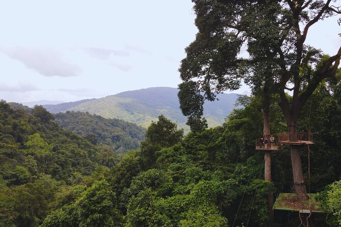 Chiang Mai Sky Hawk Zipline Adventure in the Jungle Canopy - Getting fitted with safety gear