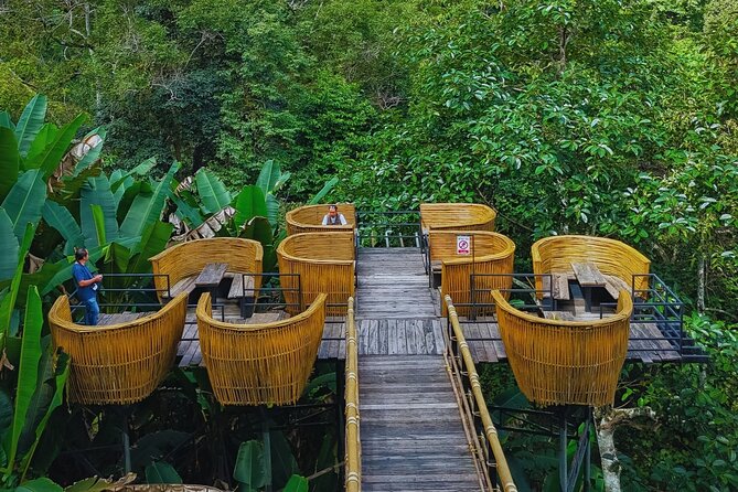 Chiang Mai Sky Hawk Zipline Adventure in the Jungle Canopy - Who should choose this Chiang Mai adventure