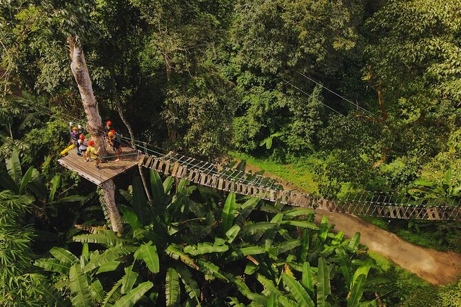 Chiang Mai Sky Hawk Zipline Adventure in the Jungle Canopy - Choosing 18 or 33 ziplines