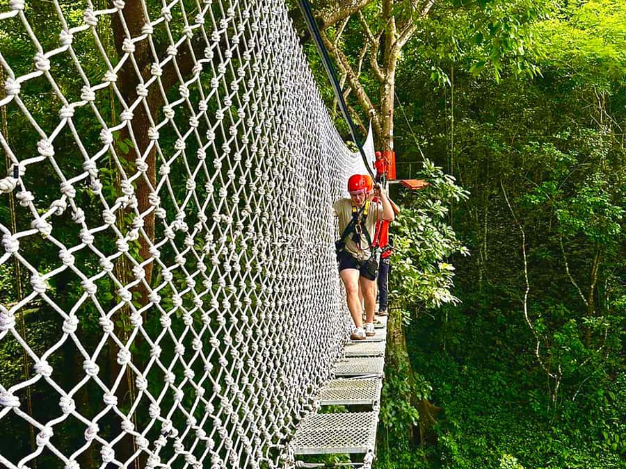 Chiang Mai: Sticky Waterfall and Zipline Adventure Day Trip - Key details before you book