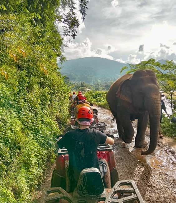 Chiang Mai: Tarzan ATV Ride Optional Zipline & Elephant Tour - Key details at a glance