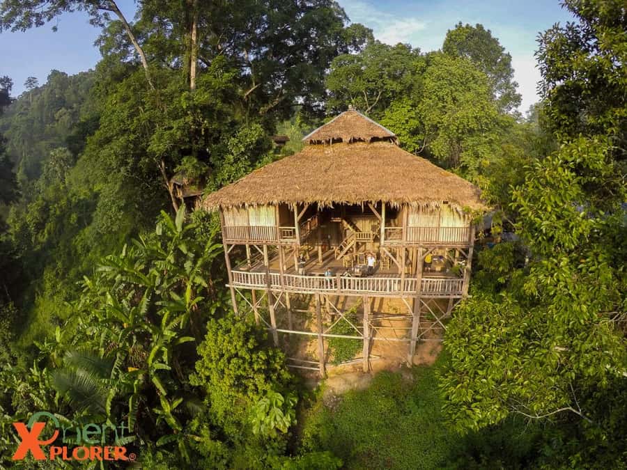 Chiang Mai: Tree House Stay & Jungle Zip-Lining - Why this Chiang Mai escape works so well