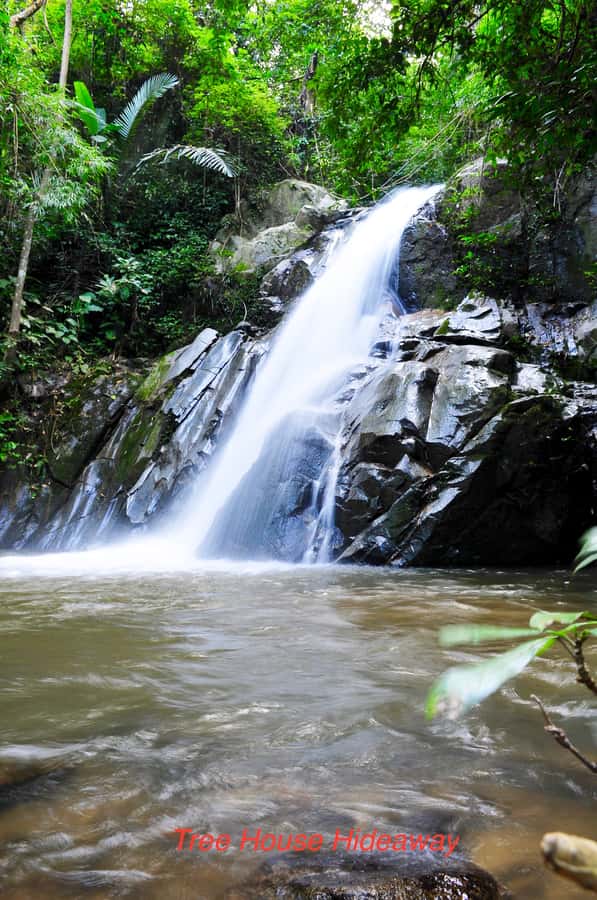 Chiang Mai: Tree House Stay & Jungle Zip-Lining - Morning ziplining at Phoenix Adventure Park