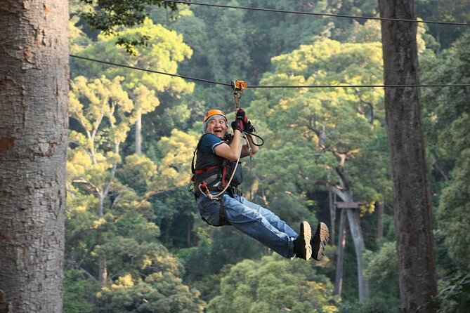 Chiang Mai Zip Line Experience - What the safety rules mean for you