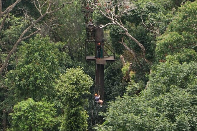 Chiang Mai Zip Line Experience - A family-friendly outing with real activity