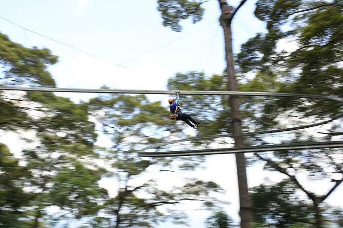Chiang Mai Zip Line Experience - Morning or afternoon: choosing your time