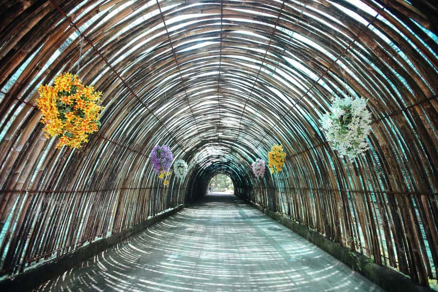 Chiang Mai: Zipline Adventure at Skyline Jungle Luge - Twenty-one ziplines, from short bursts to a 900-meter glide