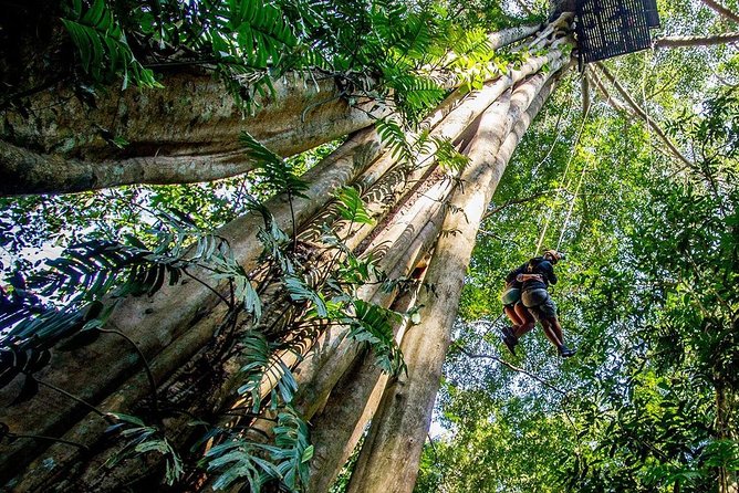 Chiang Mai Zipline White Water Rafting and Elephant Sanctuary - Who will enjoy this tour most?