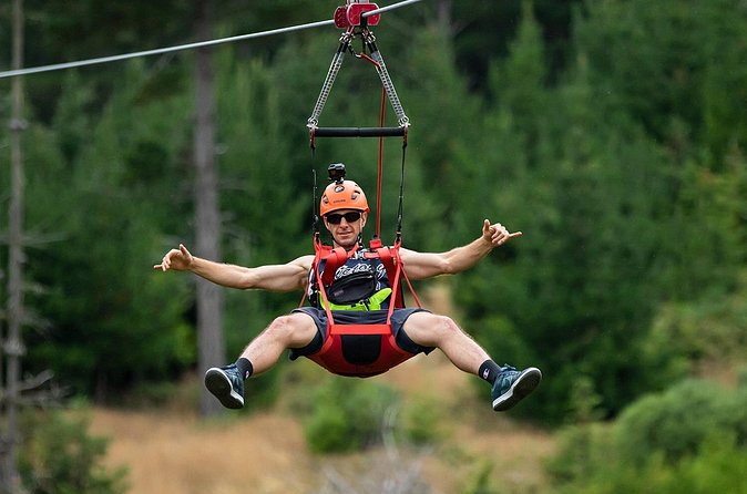 Christchurch Long Ride Zipline - Views, height, and the feel of the forest