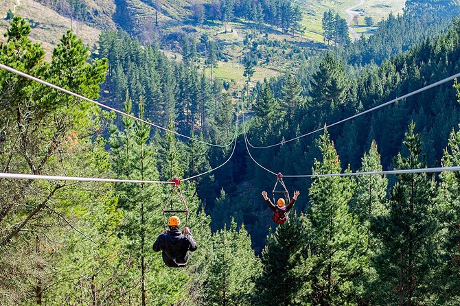 Christchurch Zipline Tour - The practical rhythm of the three-hour tour