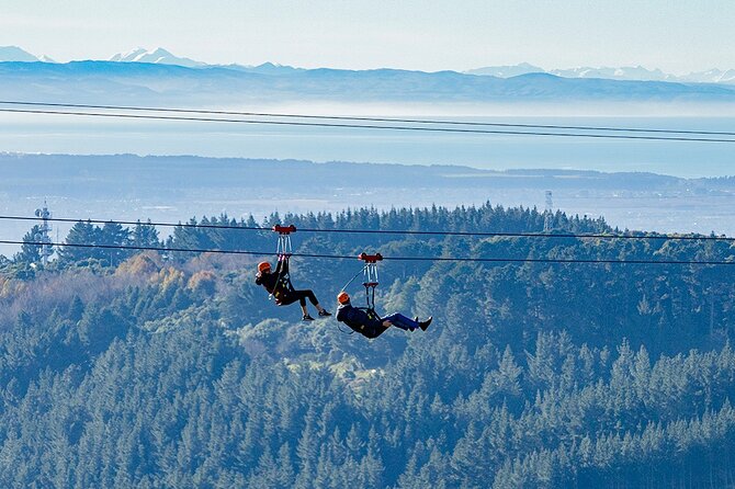 Christchurch Zipline Tour - Is $155.14 a fair price?