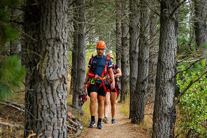 Christchurch Zipline Tour - Who should book this zipline tour?