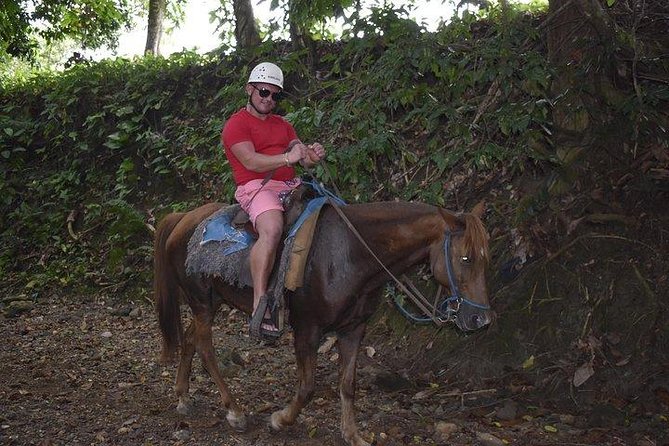 City Tour with Horseback Riding, Zipline, and Dune Buggy at the Countryside - Coffee and cocoa at a family farm