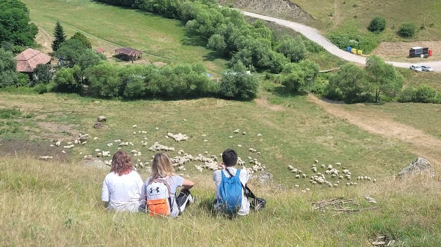 Cluj: Outdoor Activities Day Trip with Zip Line and Hike - Is $115 a good value?