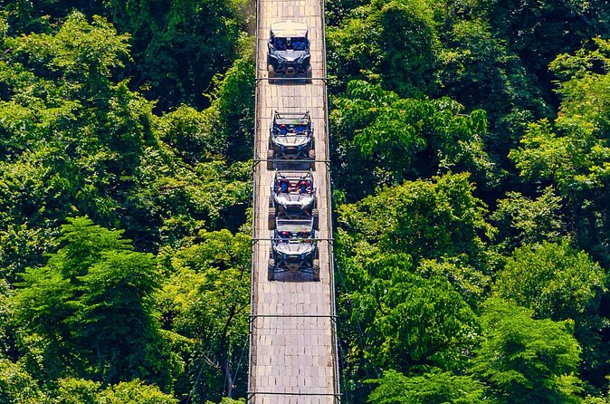 Combo RZR Zip Lines and Mule Ride Jorullo Route - Eleven zip lines through the trees