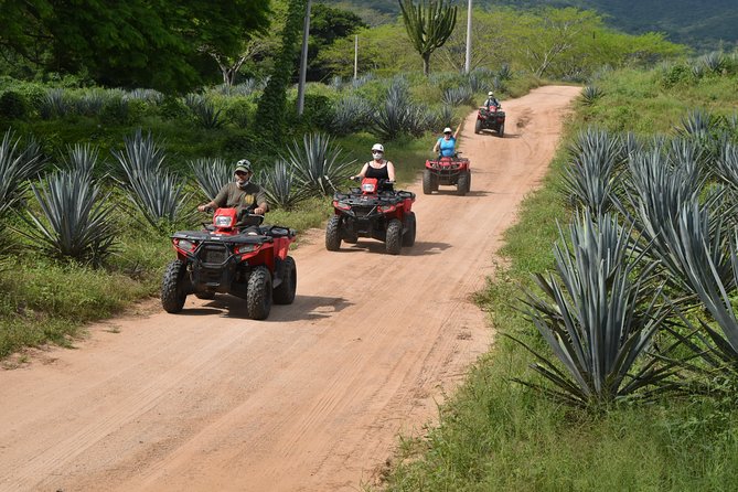 COMBO Zip lines and ATV´s at Hacienda Los Osuna - Safety instructions before the first zipline