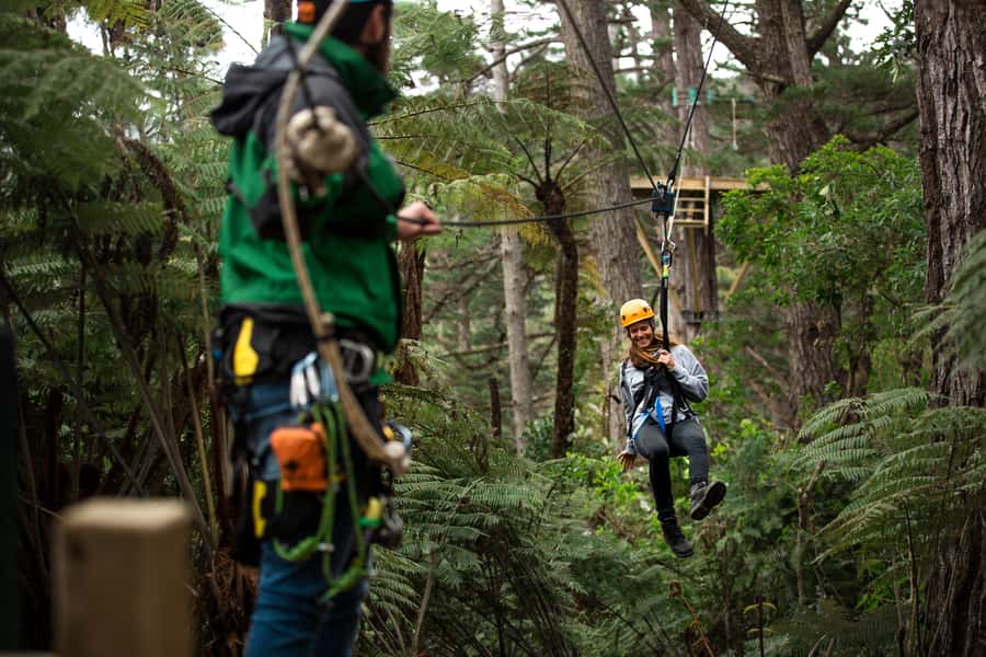 Coromandel: Guided Zipline Tour Experience - Key points to know before booking
