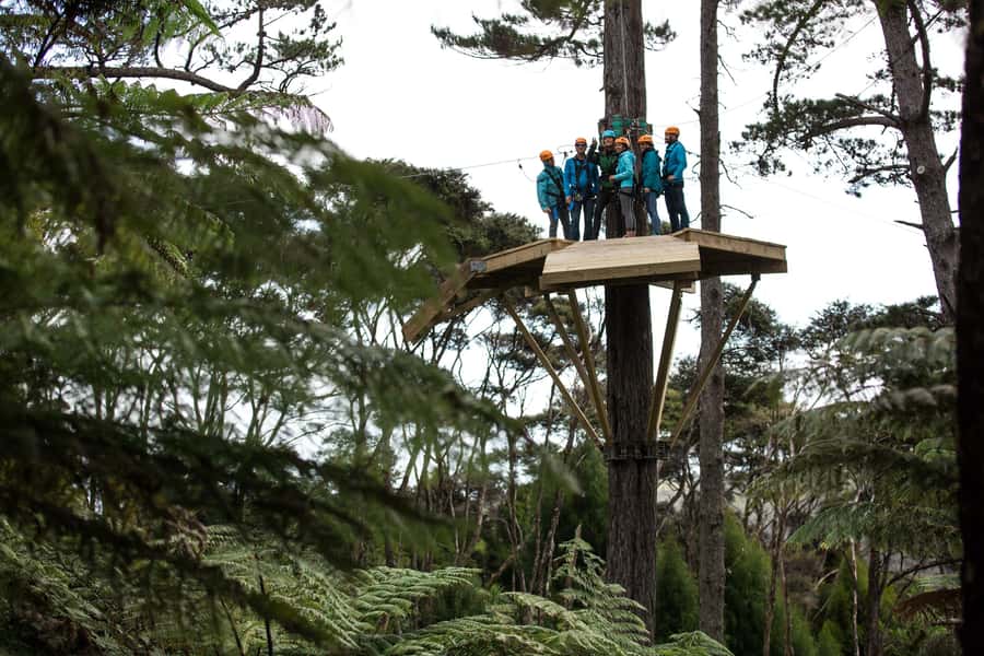 Coromandel: Guided Zipline Tour Experience - The 15-minute mountain railway ride