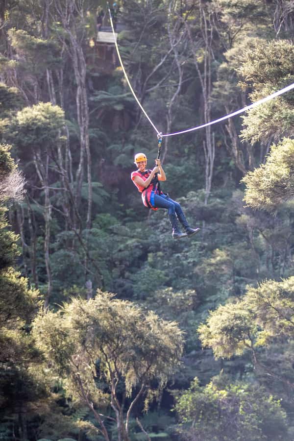 Coromandel: Guided Zipline Tour Experience - Walking beneath ferns and learning the forest story