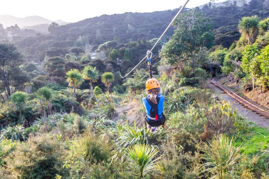 Coromandel: Guided Zipline Tour Experience - Guide quality and safety