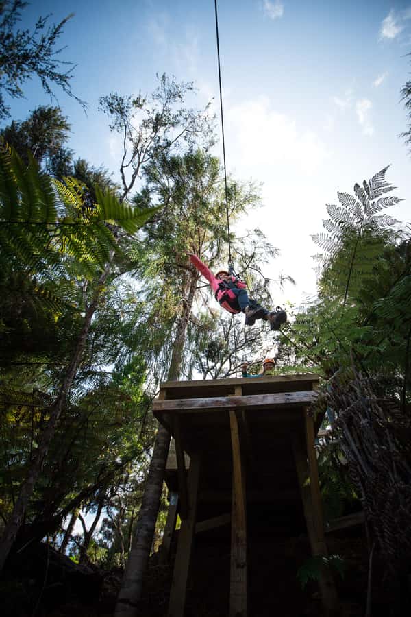 Coromandel: Guided Zipline Tour Experience - Practical details that affect your visit
