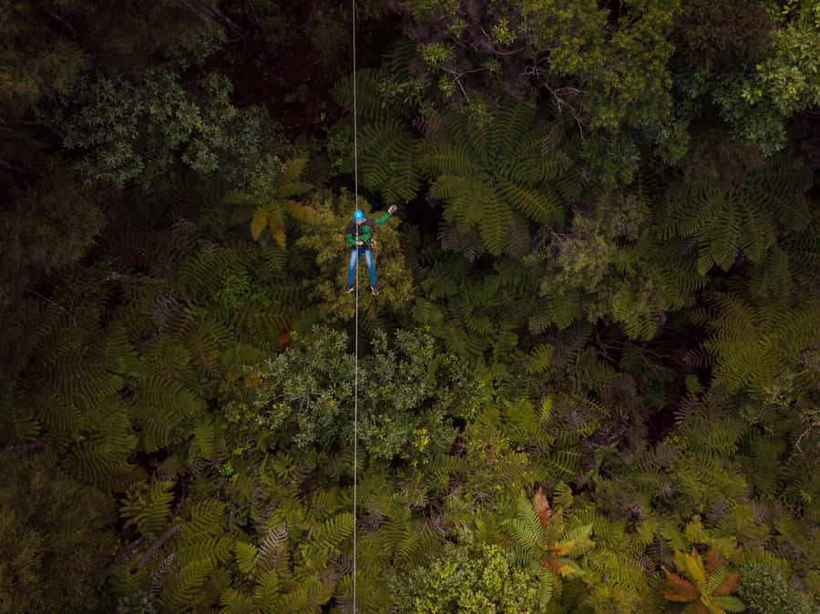 Coromandel: Guided Zipline Tour Experience - Arrival, equipment, and the first safety briefing