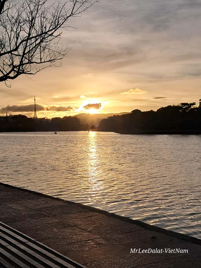 Dalat city tour by private car Combined train trip, Ziplines - Key points to know before booking